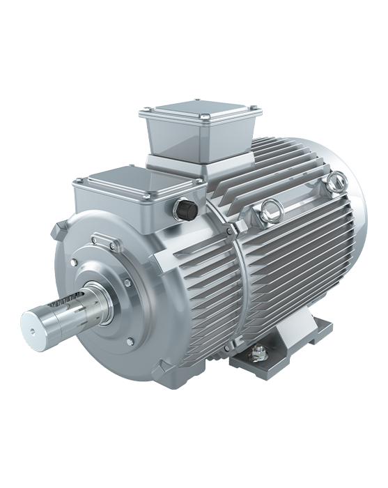 EV-traction-motor-isolated