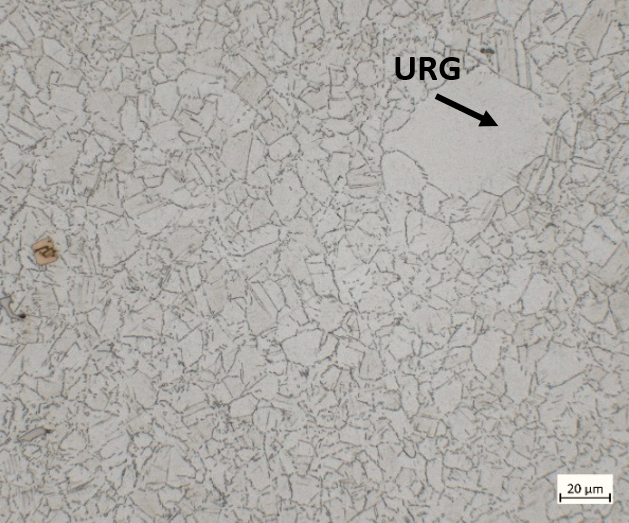 Unrecrystallized grain (URG) within an otherwise uniform grain structure, etched with Waterless Kallings.